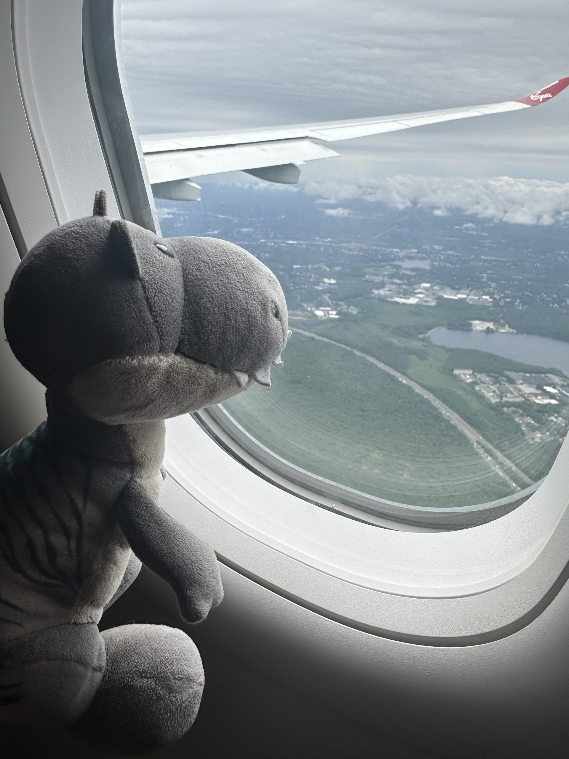 Roarger the toy T-Rex looking out an airplane window at the world below